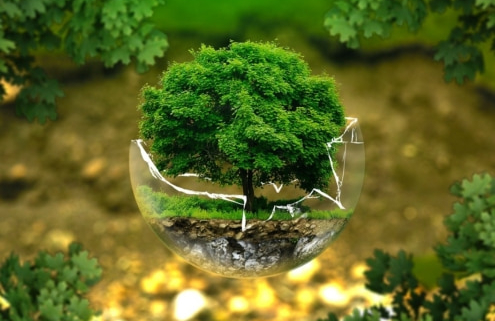 entidades sin ánimo de lucro