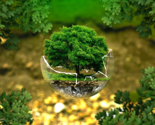 entidades sin ánimo de lucro