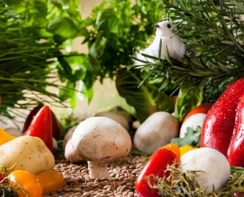 especialistas en tercer sector