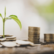 buena redacción de proyectos