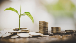 buena redacción de proyectos