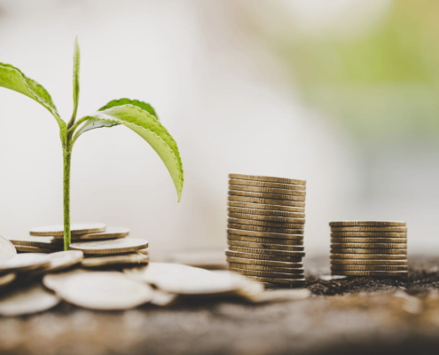 buena redacción de proyectos